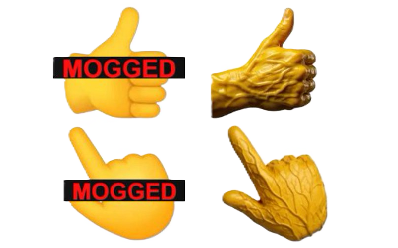 Mog Emoji Meme 4